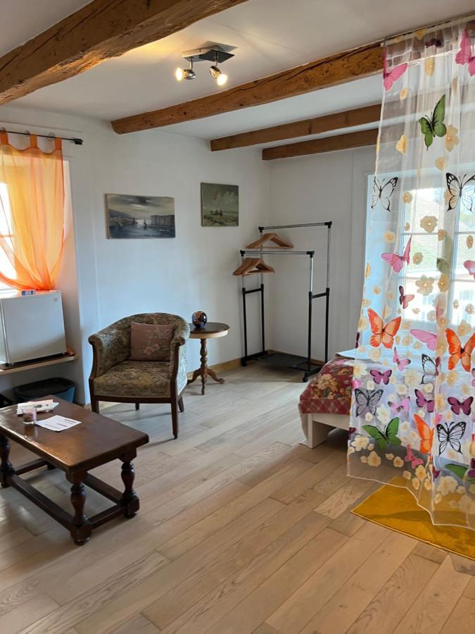 Chambre Papillon Avec Acces Terasse La Neuveville Kültér fotó